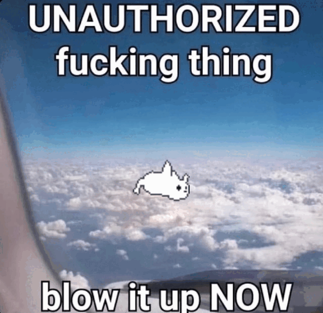 UnauthorizedCat